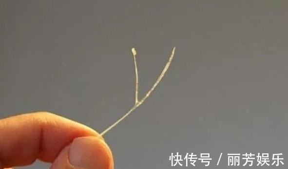 施救|3岁孩子不小心卡了鱼刺,父母的2个果断救了他,医生真棒