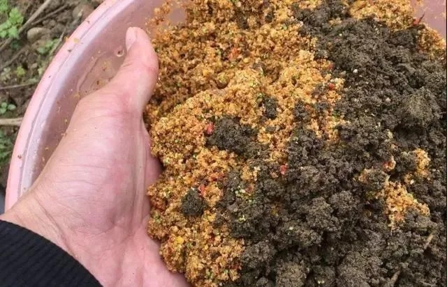 想要钓好鱼就要先打窝，如何做好窝才是决定渔获最关键的因素