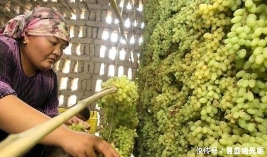 家人|葡萄干买回来要不要清洗原来很多人都做错了,看完赶紧提醒家人