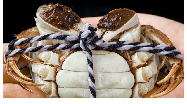 螃蟹便宜多买点,蒸螃蟹,直接上锅是错的,教你3招,鲜美不流黄