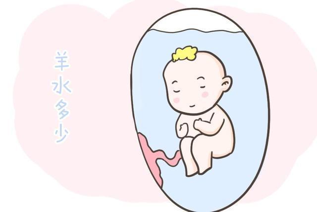 妈妈们|孕期肚子变化的几种含义!妈妈们都知道吗?