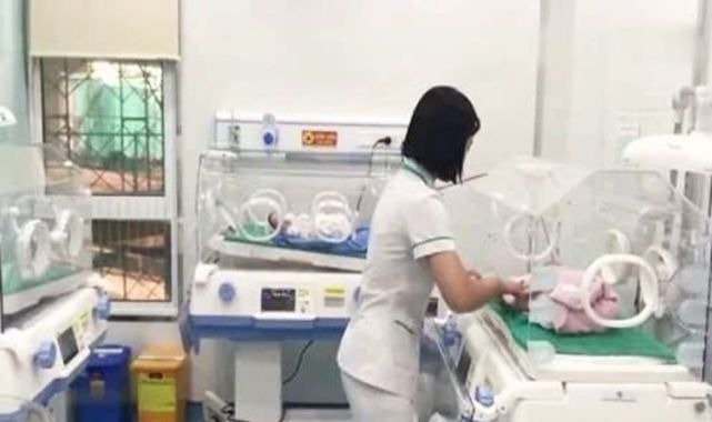 婆婆|生完宝宝后,你的胎盘“埋了”还是“吃掉”?做法不同结果大不同