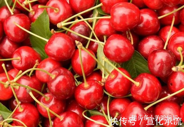 樱桃|孕妇经常吃这4种水果,不仅对宝宝好,也能缓解怀孕带来的反应