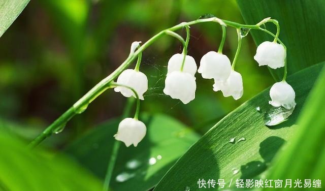 话说|做人,凡事要有度