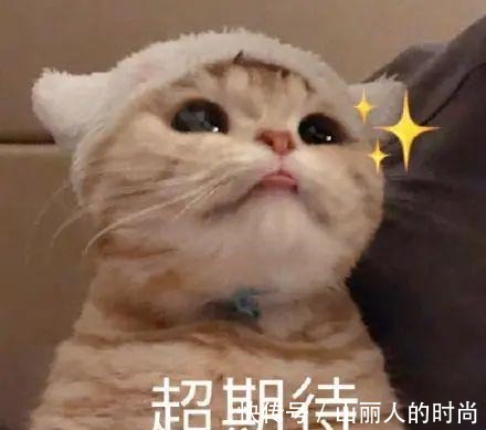 商业中心|定了!昆山全新超大综合体来了,还有9个……!