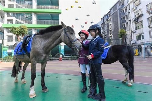 小小骑士进校园，水果湖一小举行马术公开课