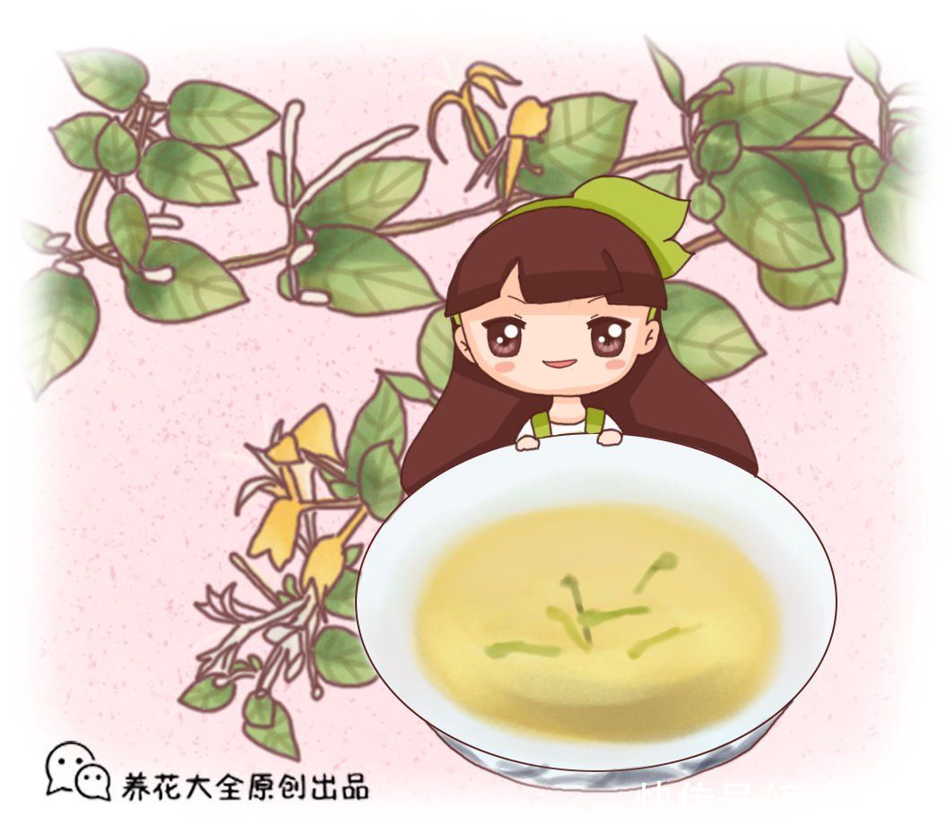 金银花|老中医爱养的4种花,堪称植物“百宝箱”,养人养身心