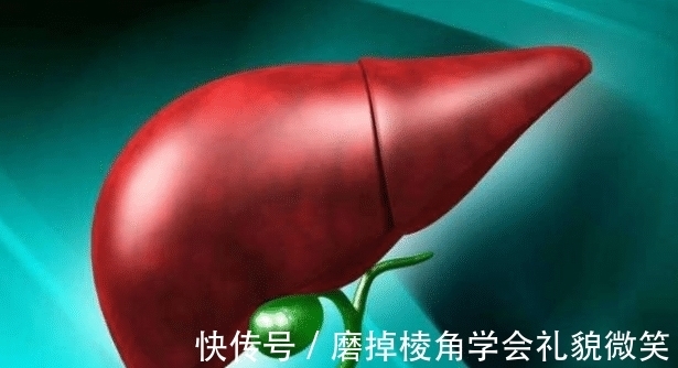 凝血因子|肝不好不能吃鱼？医生提醒：想要肝脏好，这2种食物尽量少吃