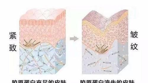  皱纹|皮肤科主任：睡前1个好习惯，每天坚持做，皱纹“逃走”，好年轻