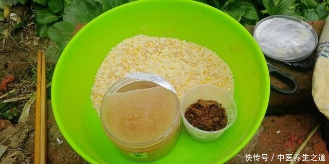 冬季饵料学会这样开,钓鱼一样不比蚯蚓红虫差,快来学学吧!