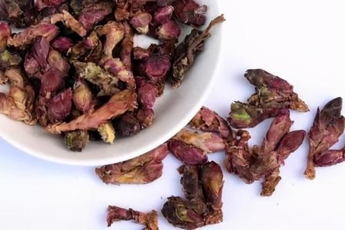 擅长治各种咳嗽的良药——款冬花