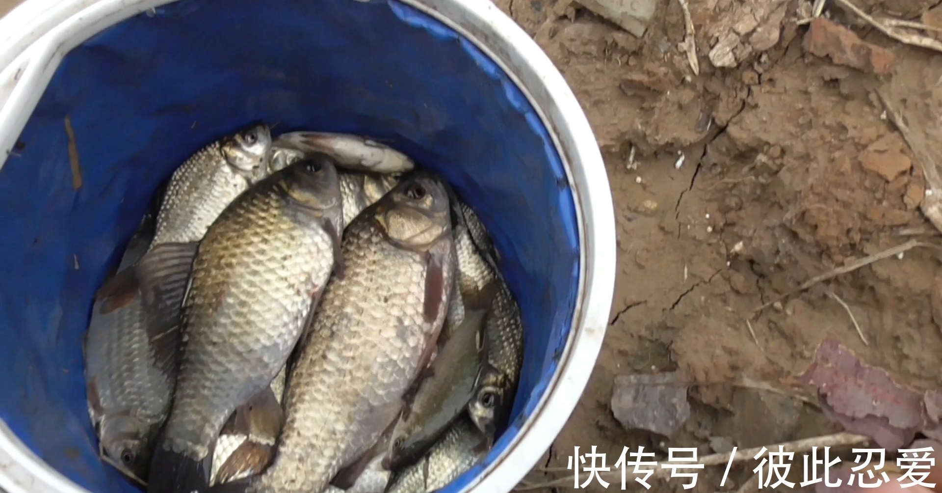 冬季|冬季钓鱼钓深还是钓浅?老钓手总结的经验,想空军都难