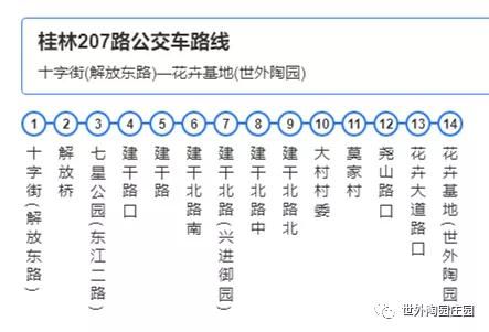 老年|新春沉醉花海,共游壮美叠彩!