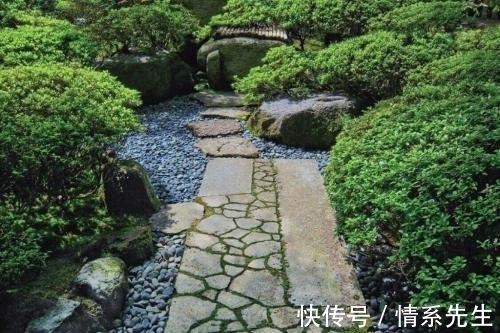 禅诗#王安石的两首禅诗,心无牵挂,更彰显了隐居生活的洒脱和从容