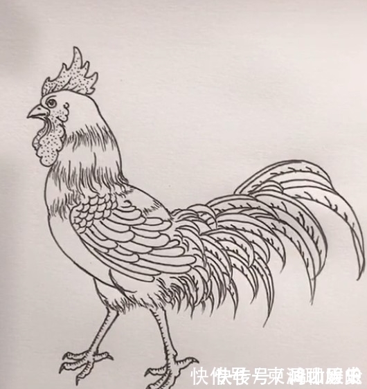 美术生#美术生画公鸡，不起型直接画，成品很有料，网友：橡皮擦放假了