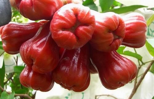 延缓衰老|人到中年想长寿,要坚持吃3种食物,延缓衰老,皮肤细腻有弹性