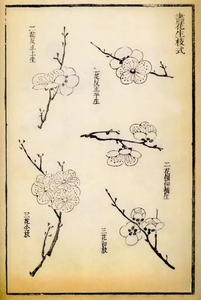  秘传|这是一组秘传画谱中的梅花传统画法