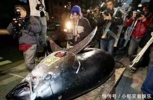 火龙果面|刀功师傅切马鞭鱼，拿刀一划就是1米长，各种吃法随你挑