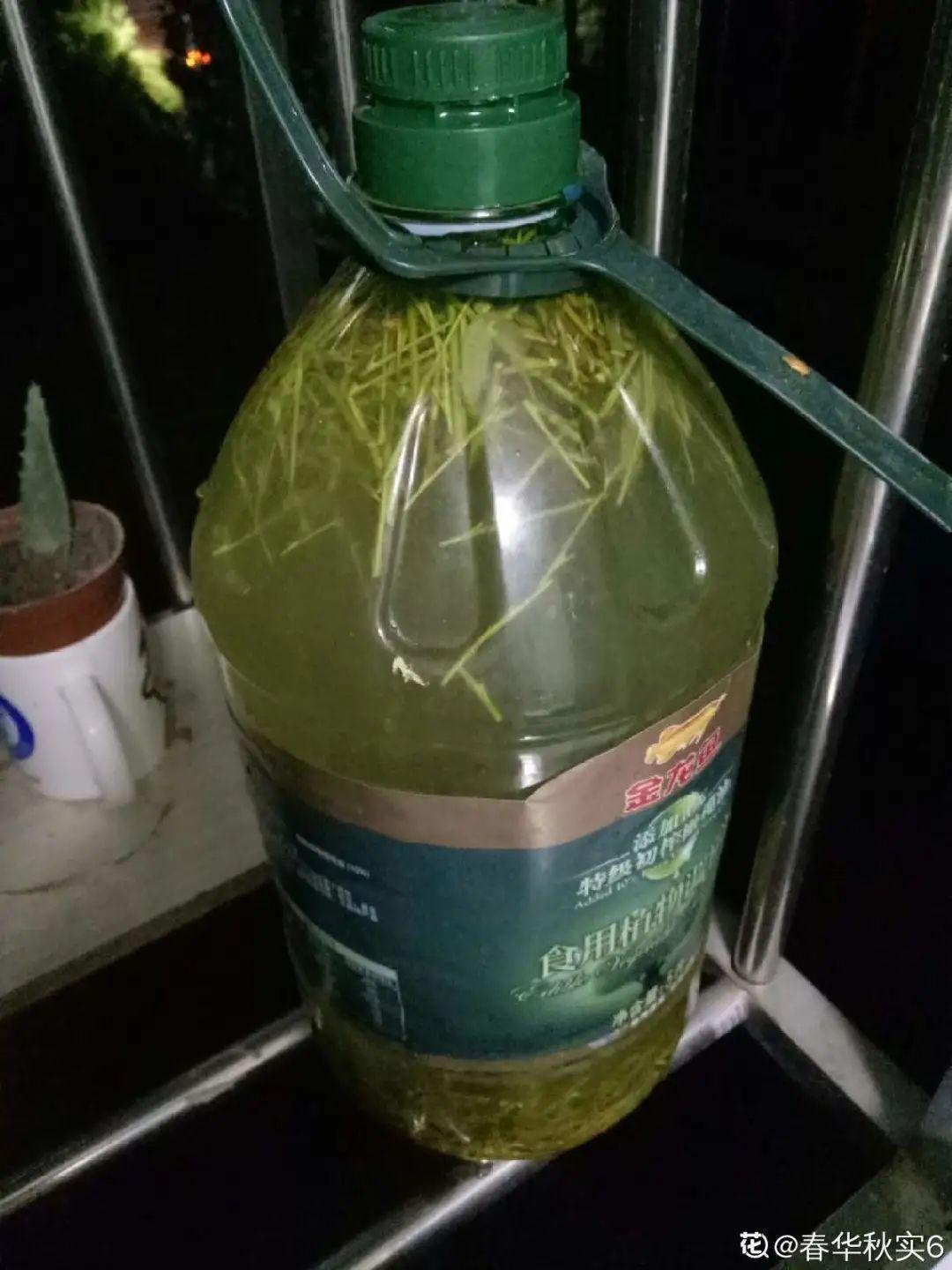 黄叶|给花浇水掺点白醋,植物根比萝卜还粗,健壮不黄叶