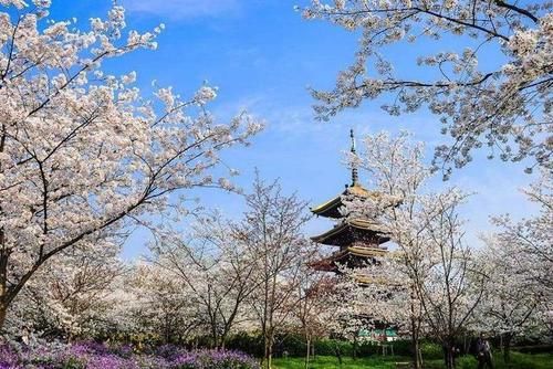 要啥穷游！武汉这6家免费景点够你玩一年！有山有水还能赏樱花