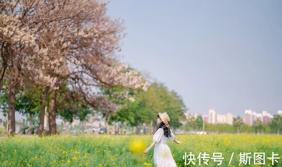 父母@被比尔盖茨推荐,多年荣登畅销书榜,这本书值得一读