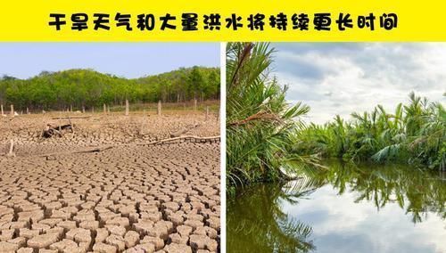 全球变暖 如果亚马逊雨林被彻底烧毁，可能会发生在地球上的11件事