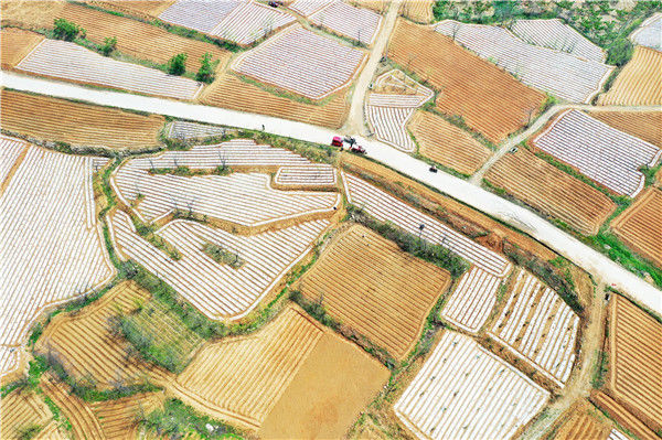 山乡梯田景如画 禾和湿地春意浓