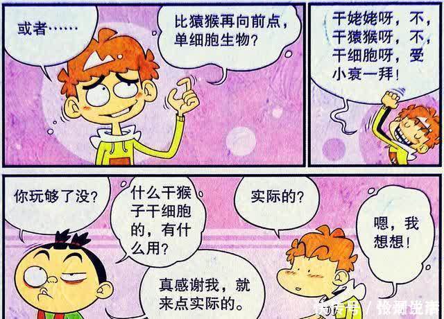 考试|衰衰“考试及格”光宗耀祖?跪拜仇敌举止奇特,另类请客暗藏玄机