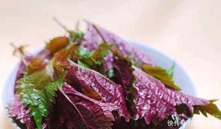 女性养生,多吃几种食物,预防衰老,美容养颜,改善体质