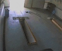 |搞笑GIF:求抱抱,求抱抱,袋鼠卖萌,挡不住啊,挡不住