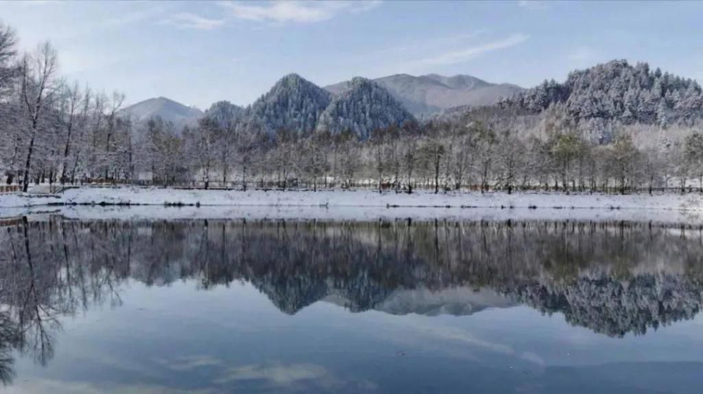 酣畅|鸣岩松雪，静赏傲雪枝头之美，动享冰雪酣畅之旅