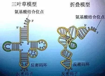 汇总|高中生物必修1-3考点汇总, 背诵与动图搭配! 强烈建议收藏！