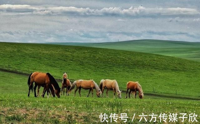 呼伦贝尔|7月去哪玩？国内这五个地方，景美又凉快