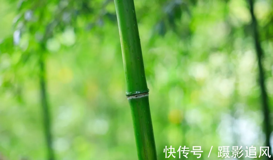 碧峰@李白意境最美的一首诗,字字皆美,第二句竟然