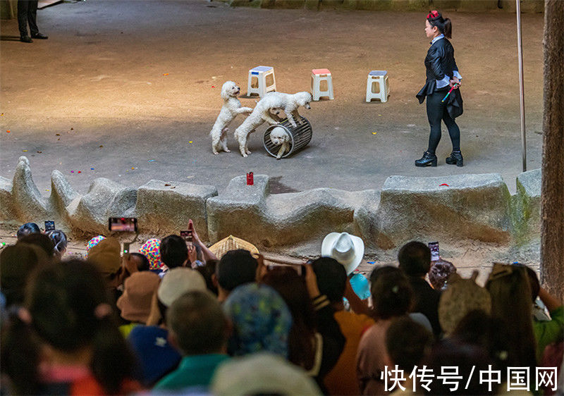 南湾猴岛|冬日，与海南猴岛公园来场约会