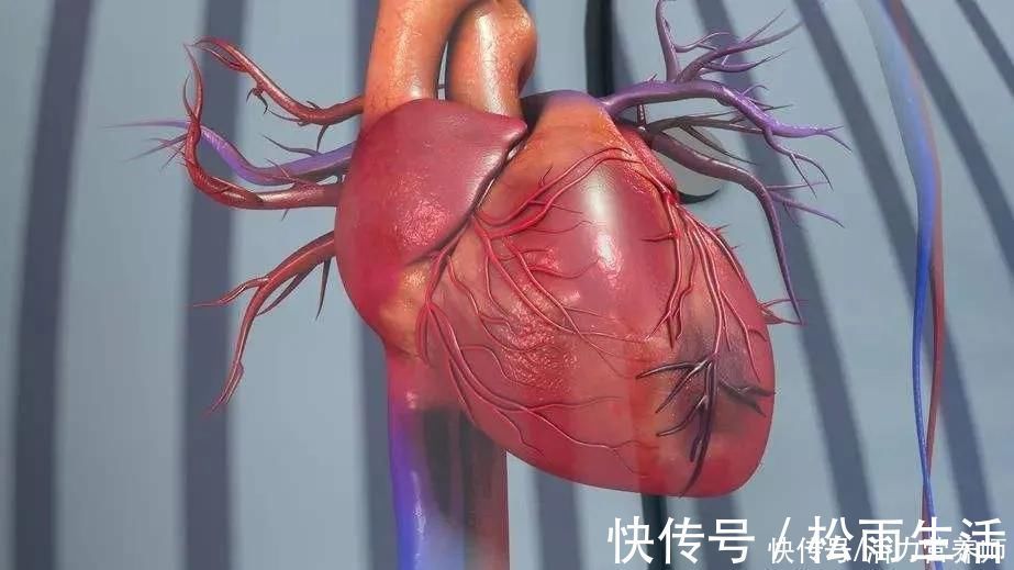 高血压|每天都需要吃降压药的人,应该晨起吃还是晚上吃?别知错犯错