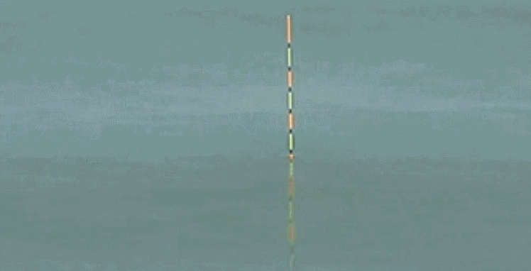 鲤鱼|水库钓鲤鱼技巧