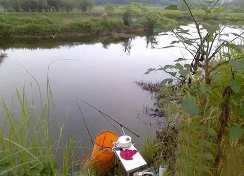 野河钓鲤鱼，能做到七钓七不钓，快速上鱼不是事