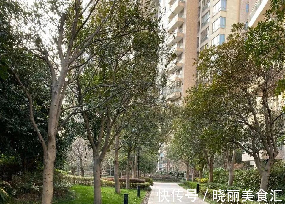 房屋|为了便宜买2楼新房,我入住近一年,用亲身经历来谈谈是否后悔过