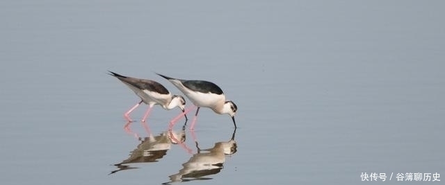 老子!《老子》:一个人具备玄德,有6个特征,真正做到顺其自然
