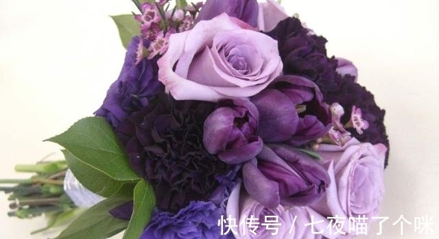 发家致富|这3大生肖拥有最强大脑,一定能发家致富!