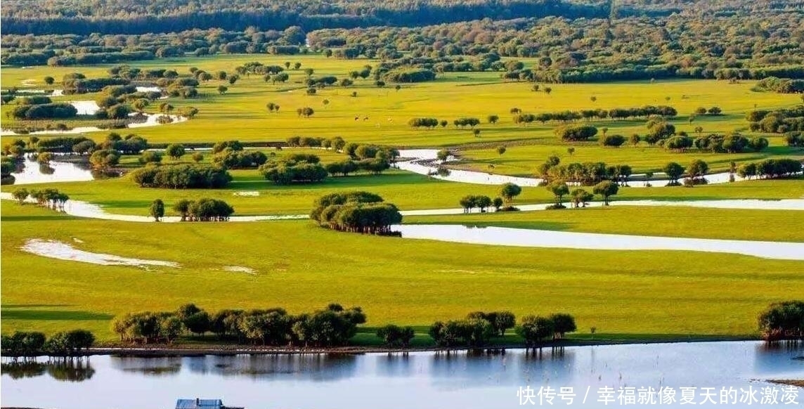 为什么草原上只有草,却看不见树这么多年,可算明白了