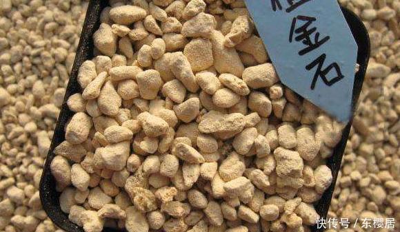 多肉养不好,看这里,掌握这些配土方法,幼苗和老桩都能养好