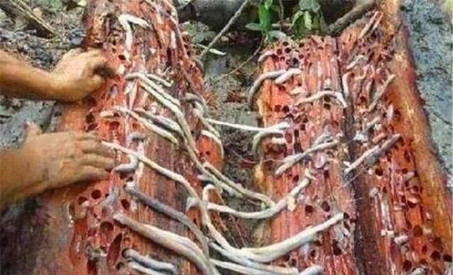 拦住|大航海时代很浪漫（一）？大西洋就足以拦住多数人的野望