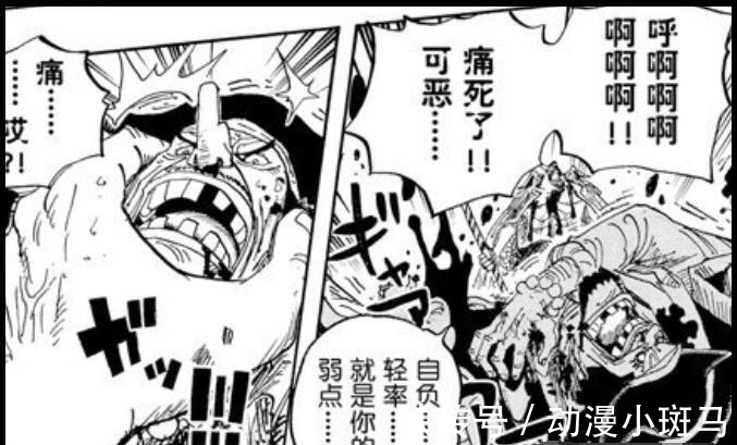 海贼王|白胡子评价其他四皇,香克斯不如凯多,大妈被忽视