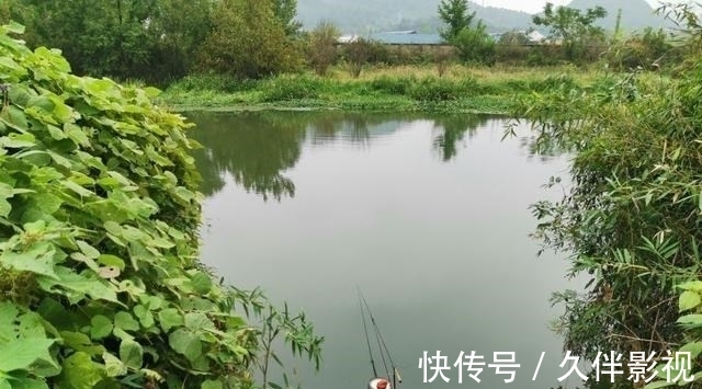 分享一种奇葩的做窝方式，成本低效果好，就是有点累人！