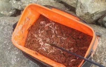 窝点|冬钓打窝四大口诀 不要外传的,只管自己钓得盆满钵满!