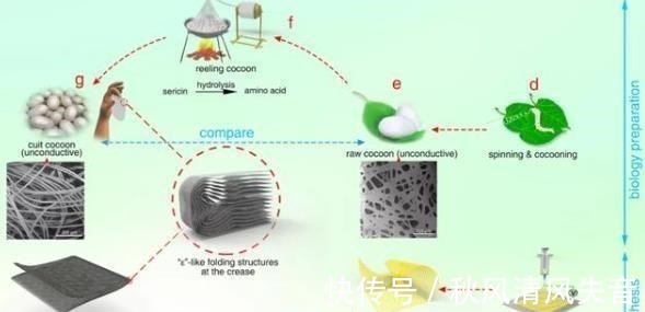 折叠碳|同济大学“立大功”，折叠屏材料迎来突破，这就是中国技术的魅力