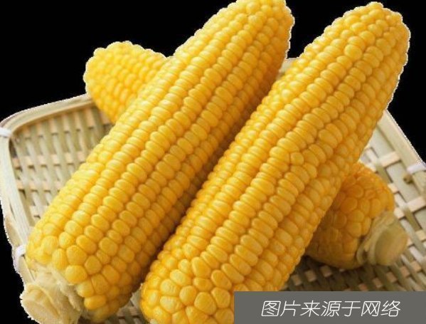 多吃玉米好处多,但有一物不能同吃,夏天最易吃错,看看你有没有