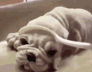 |搞笑GIF:走路不要玩手机 否则后果很严重